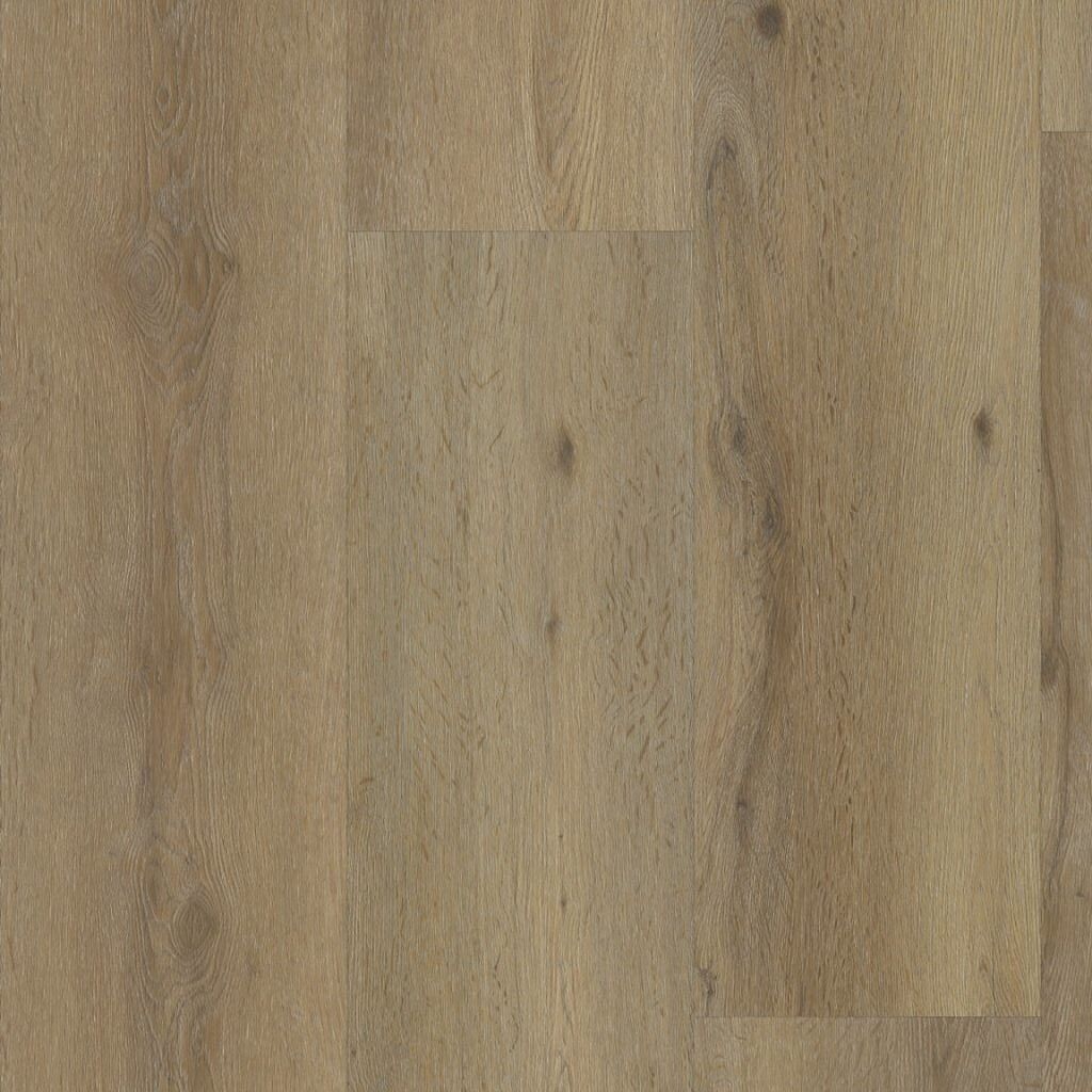 Vivero dryback dark oak