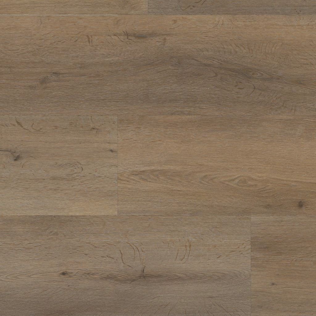 Vivero dryback smoky