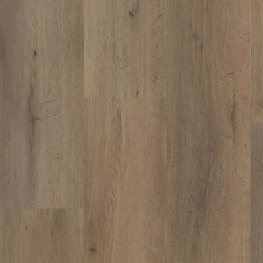 Vivero click src smoky