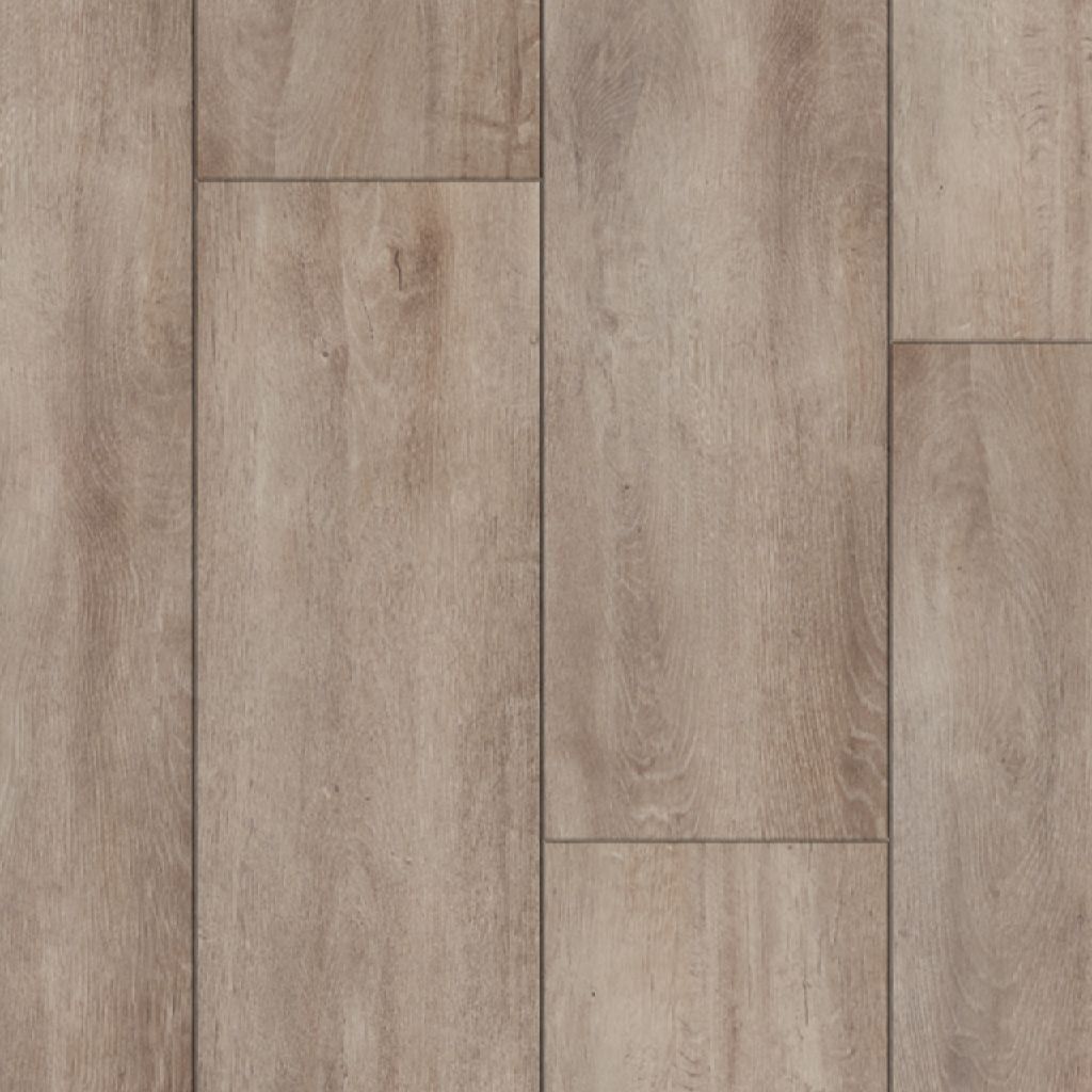 oriental grey