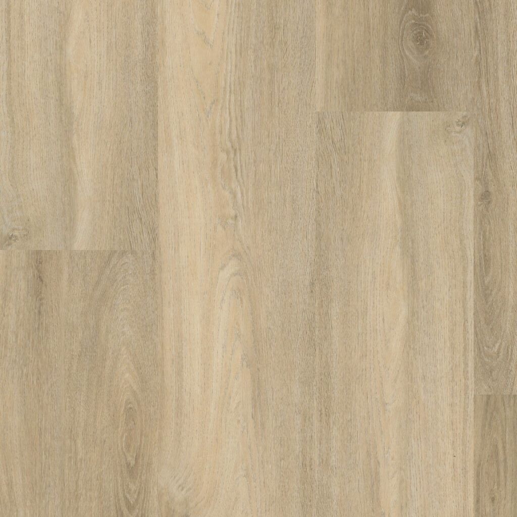 ambiant avanto dryback beige