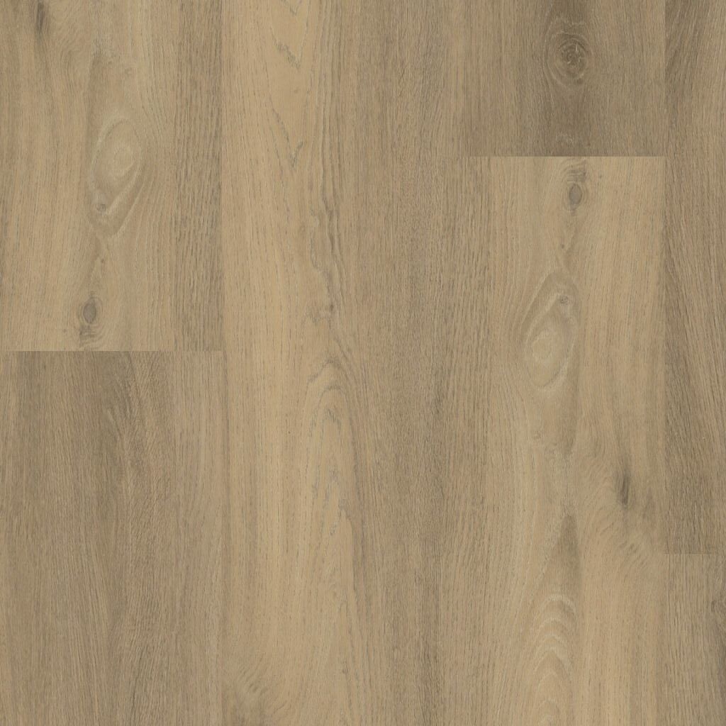 ambiant avanto dryback natural