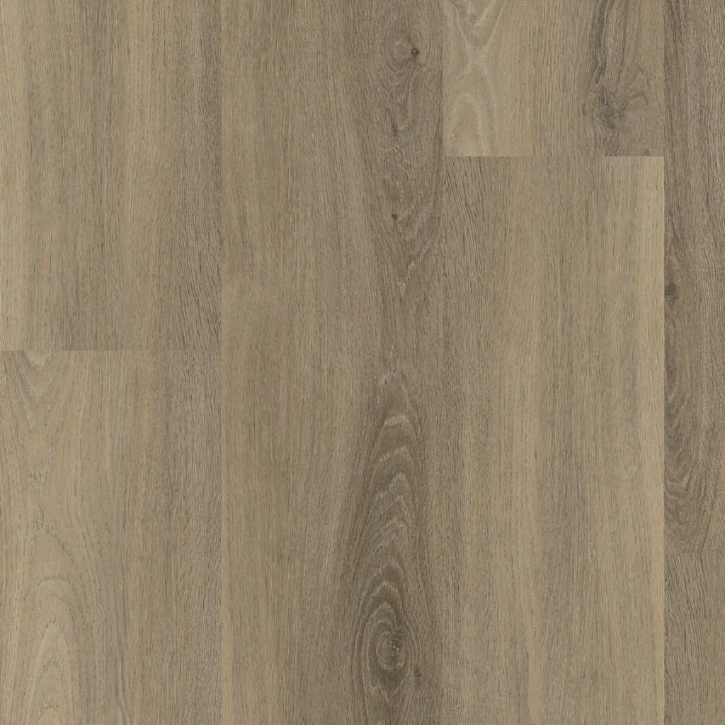 ambiant avanto dryback smoky