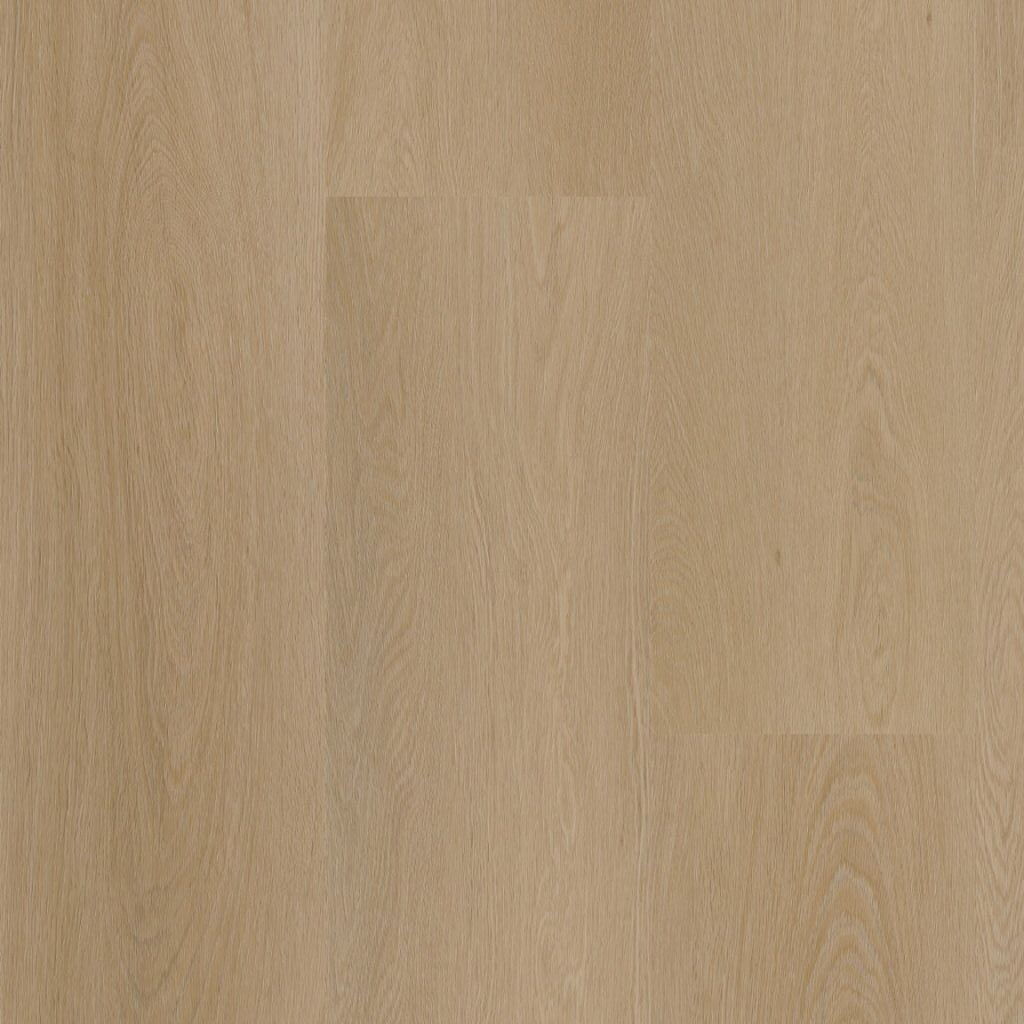 ambiant estino dryback dark oak
