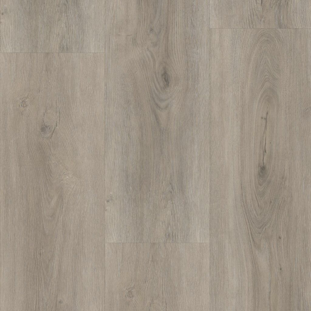 Robusto dryback light grey