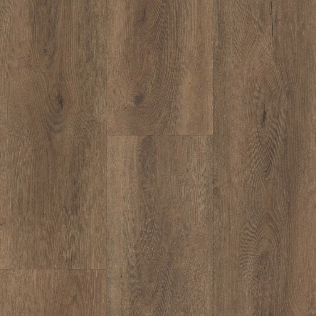 Robusto dryback warm brown