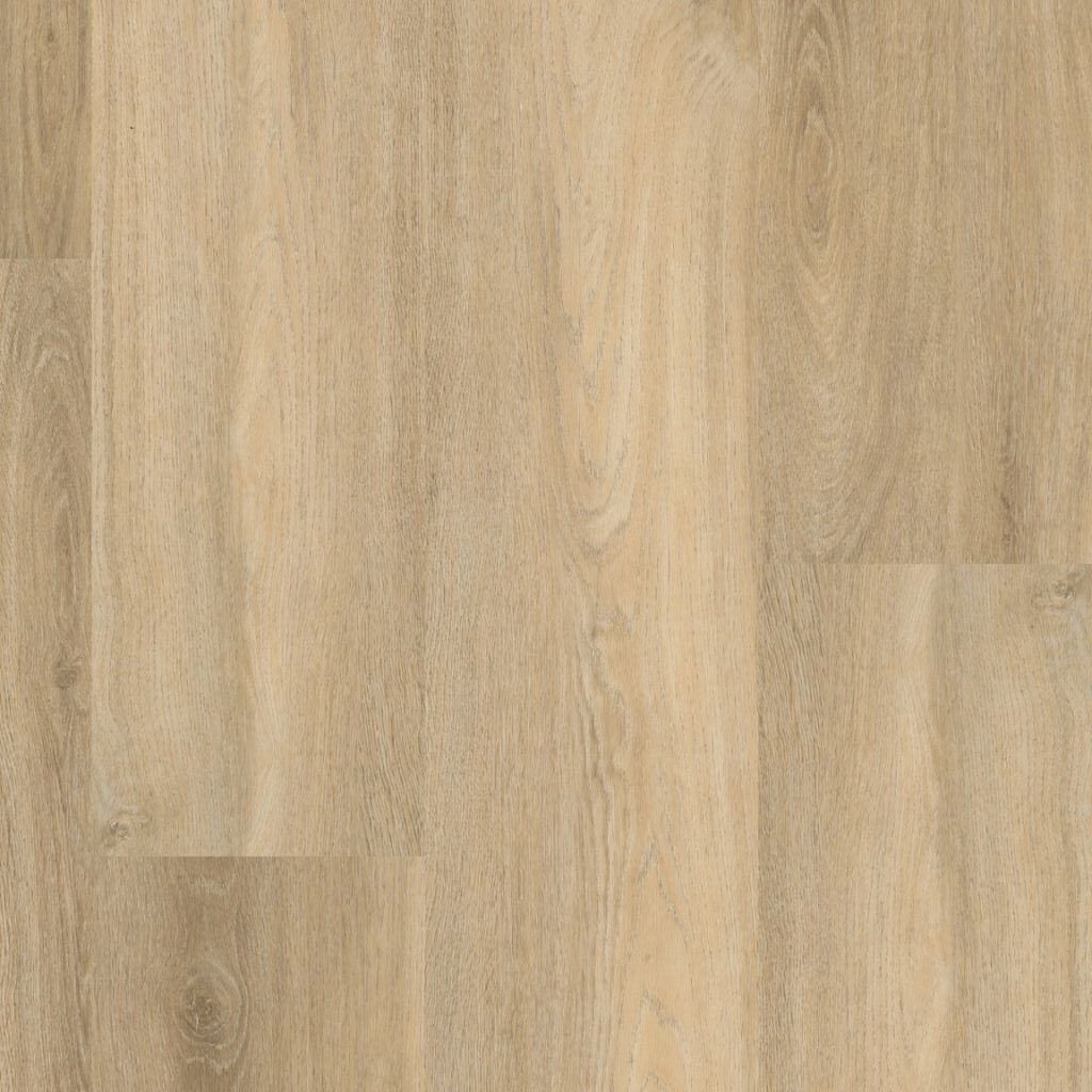 ambiant avanto click src beige