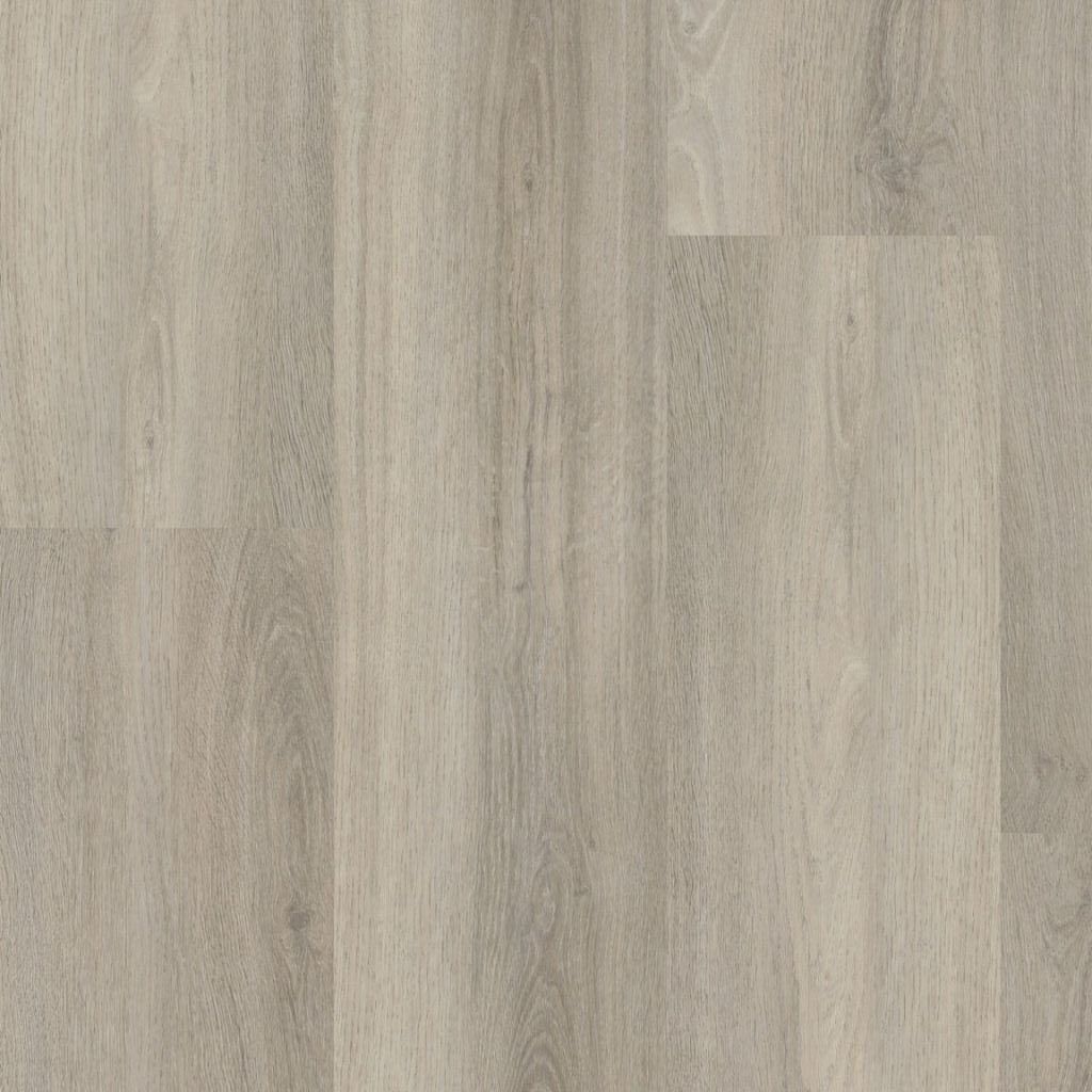 ambiant avanto click src light grey