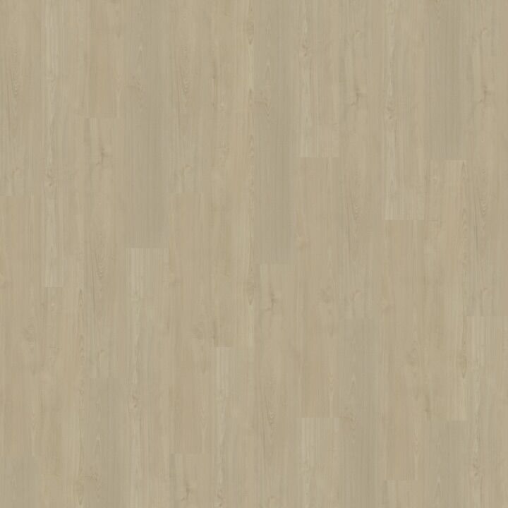 Belakos Portico 570 Dryback PVC – natuurlijke eikenhoutlook met ultramatte afwerking