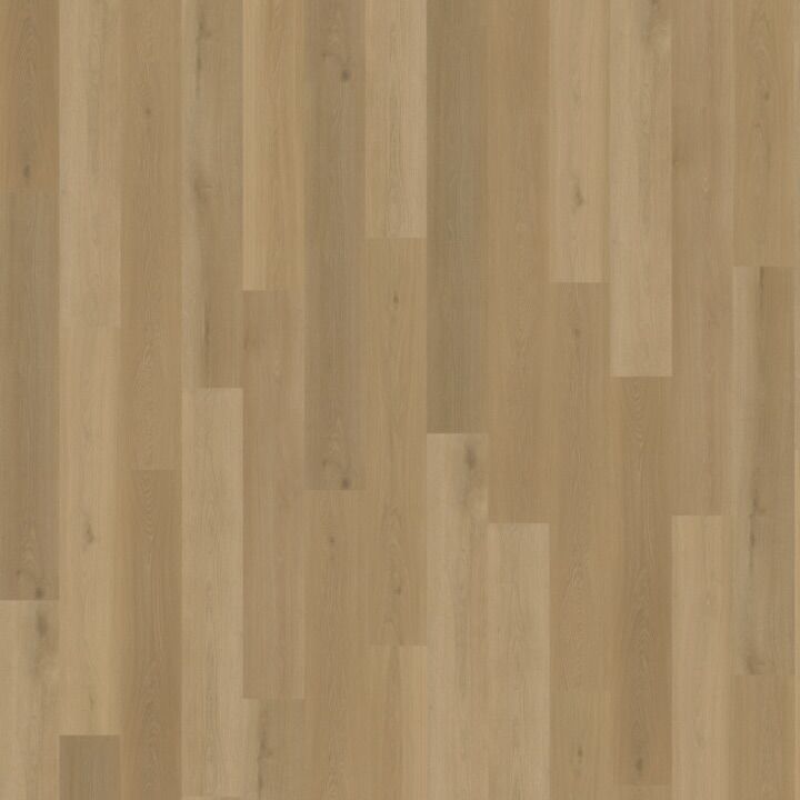 Belakos Borgo 320 rigid click