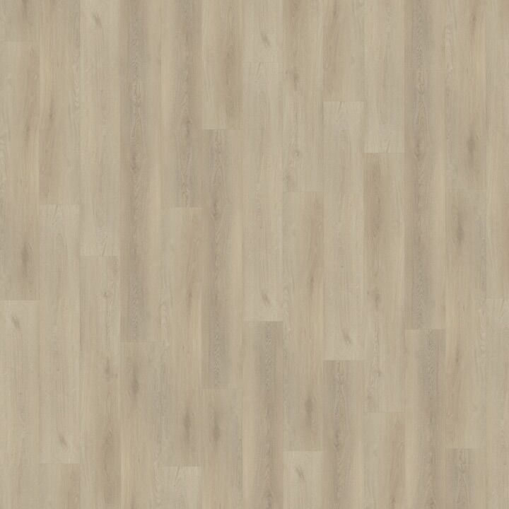 Belakos palazzo dryback pvc